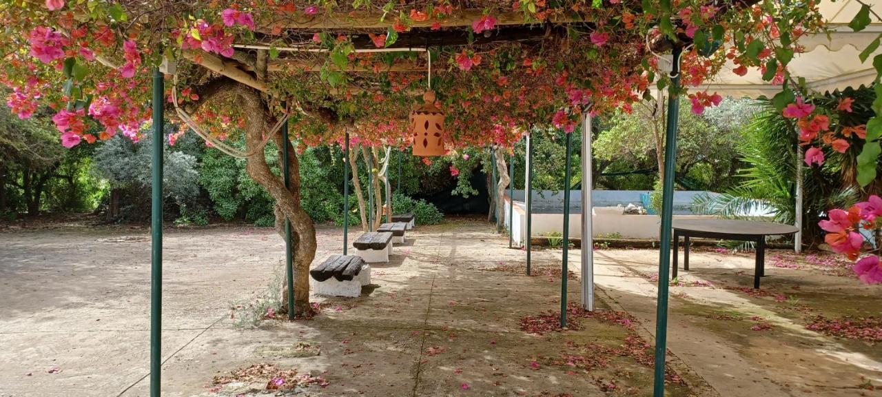 Quinta Velha 22 Apartman Tavira Kültér fotó